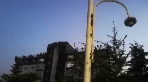 Eskişehir'de o mahalleye dadanan bela herkesi karanlıkta bıraktı!