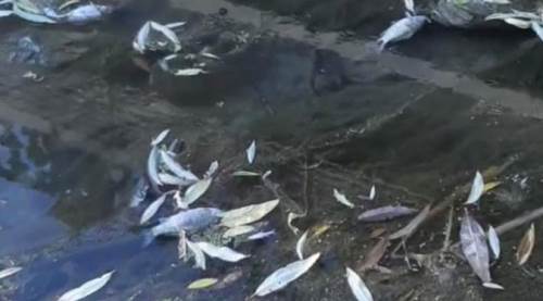 Eskişehir'de o su kesildi, ölümler başladı!