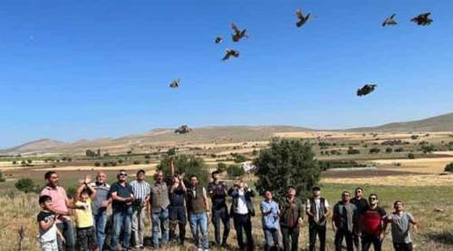 Eskişehir'de o türün avı yasaklandı!