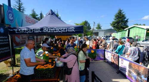 Eskişehir'de on binlerce çiçek dağıttılar!
