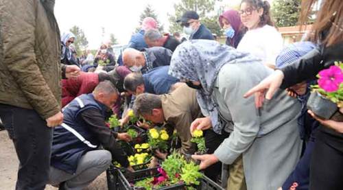 Eskişehir'de on binlercesi ücretsiz dağıtıldı