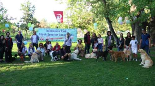 Eskişehir'de onlar için bir araya geldiler