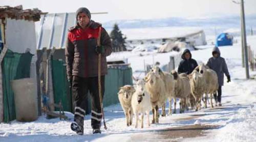 Eskişehir'de onlar kar, soğuk dinlemiyor
