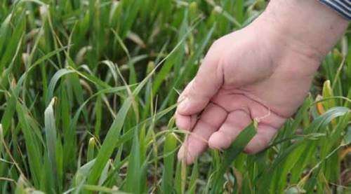 Eskişehir'de onlara can suyu oldu!