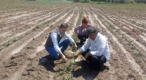 Eskişehir'de onlara müjde! Başvurabilecekler...