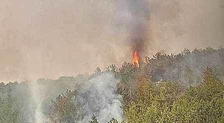 Eskişehir'de onlarca kişiyi harekete geçiren orman yangını!