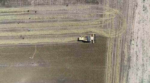 Eskişehir'de onları yağmur vurdu!