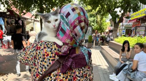 Eskişehir'de onu gören cep telefonuna sarılıyor!