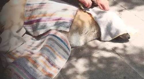 Eskişehir'de onu görenler öldü sandı ama işin aslı...