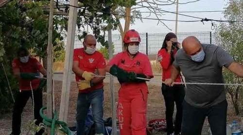 Eskişehir'de onu kurtarmak için seferber oldular!
