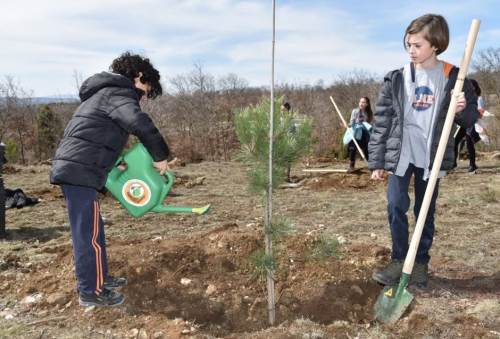 Eskişehir'de Orman Haftası için fidan dikim tarihleri ertelendi