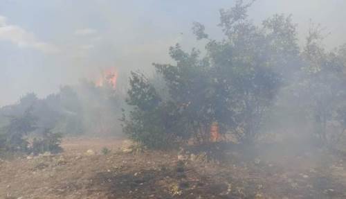 Eskişehir'de orman yangını!