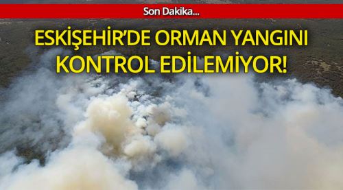 Eskişehir'de orman yangını kontrol edilemiyor!