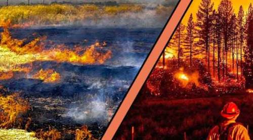 Eskişehir'de orman yangını uyarısı
