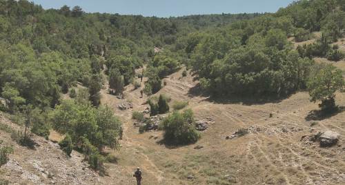 Eskişehir'de orman yangınlarına karşı sıkı denetim
