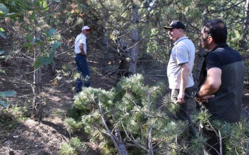 Eskişehir'de ormanlık alanlarda yangın denetimi