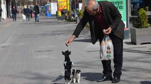 Eskişehir'de örnek davranış