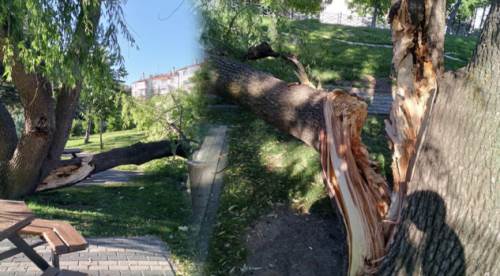 Eskişehir'de ortadan ikiye ayrıldı: Faciadan dönüldü!