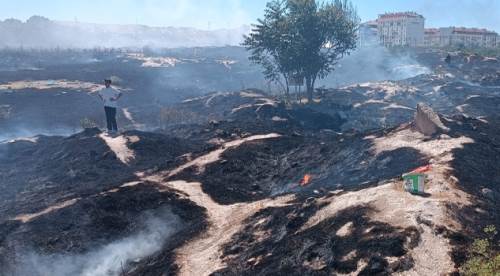 Eskişehir'de otluk alanda yangın çıktı!