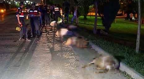 Eskişehir'de otomobil koyun sürüsüne daldı: 2 yaralı