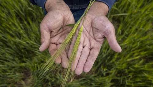Eskişehir'de ÖTV ve KDV çiftçiyi batırdı!