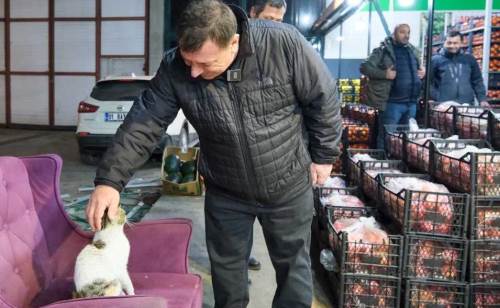 Eskişehir'de özel tesis sözü: Sokak hayvanları sahipsiz kalmayacak!