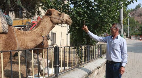 Eskişehir'de panayır heyecanı başladı