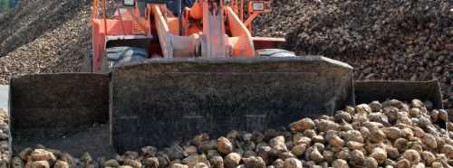 ESKİŞEHİR'DE PANCAR BEDELLERİ ÖDENİYOR