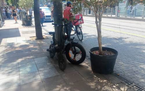 Eskişehir'de park alanı olmayınca ağaçlar devreye giriyor!