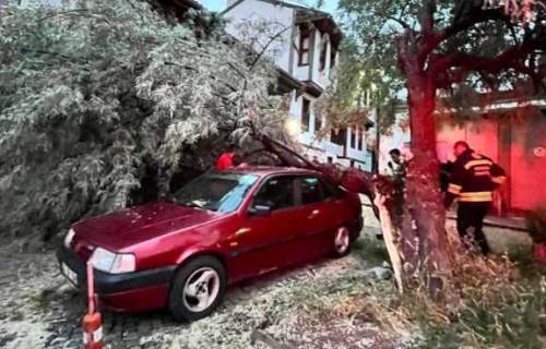 Eskişehir’de park halindeki araç üzerine ağaç dalı düştü