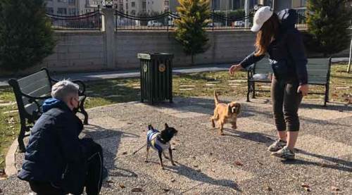 Eskişehir'de parklar onlara kaldı