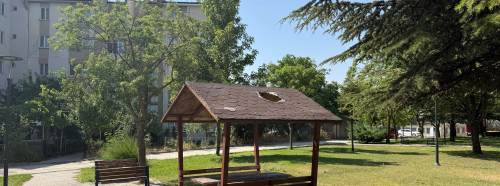 Eskişehir'de parktaki kamelya hasar gördü