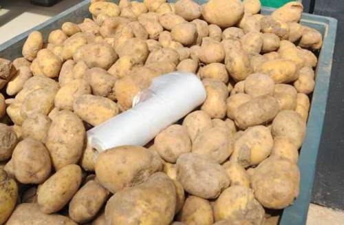 Eskişehir'de patatesin kilosu o fiyata yükseldi