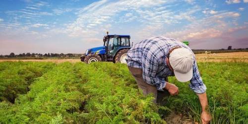 Eskişehir'de pazar alışverişi çok zor geçecek: Çiftçi isyan etti!
