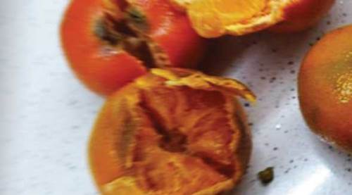 Eskişehir'de pazar alışverişi hayal kırıklığına döndü