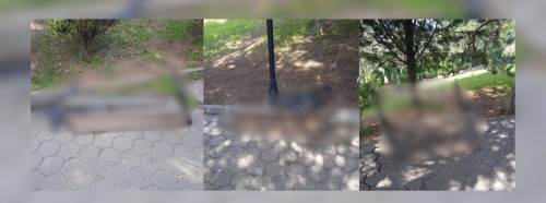 Eskişehir'de pes dedirten görüntü: Tepkiler büyüyor!