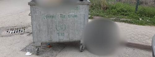 Eskişehir’de pes dedirten manzara: Çöpte bu da vardı!