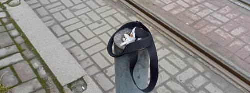 Eskişehir’de pes dedirten manzara tepki çekti!