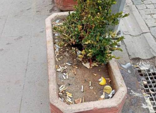 Eskişehir’de peyzaj sıkıntısı: Saksılar çöplük haline geldi