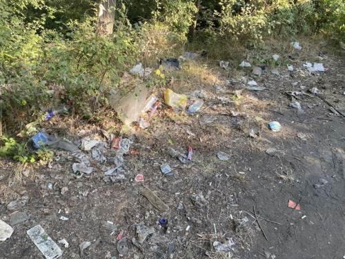 Eskişehir'de piknikçiler çöpleriyle çevreye zarar verdi!