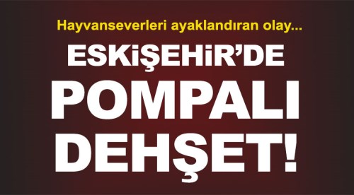 Eskişehir'de pompalı tüfekle dehşet!..