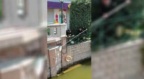 Eskişehir'de Porsuk'a düşen yavru kediyi kurtarma operasyonu
