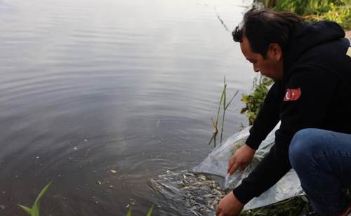 Eskişehir'de Porsuk Çayı’na 5 bin aynalı sazan salındı!