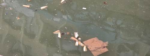 Eskişehir’de Porsuk Çayı’ndaki kirlilik tepki çekti