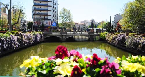 Eskişehir'de Porsuk Çayı'nı bahar çiçekleri sardı