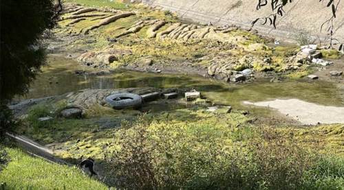 Eskişehir'de Porsuk Çayı'nın bu hali iç acıtıyor!