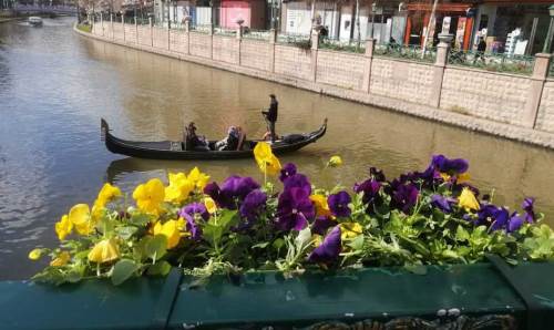 Eskişehir'de Porsuk Çayı üzerinde kartpostallık bahar manzarası