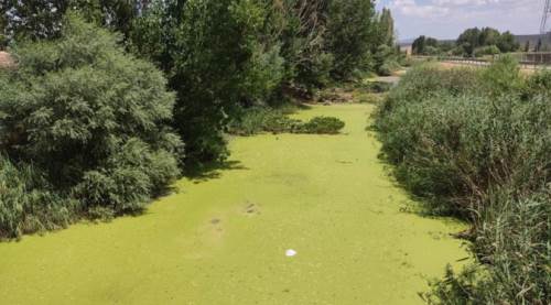 Eskişehir'de Porsuk üzerinde endişe veren görüntü!