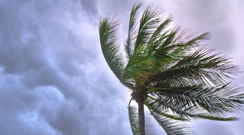 Eskişehir'de pus ve rüzgâr etkili olacak