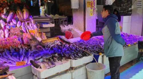 Eskişehir'de Ramazan'da balık şöleni: Fiyatlar...